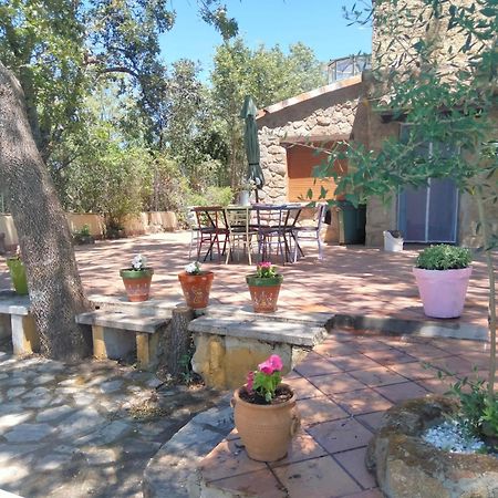 Casa Rural Vinas Perdidas Béjar Exterior photo